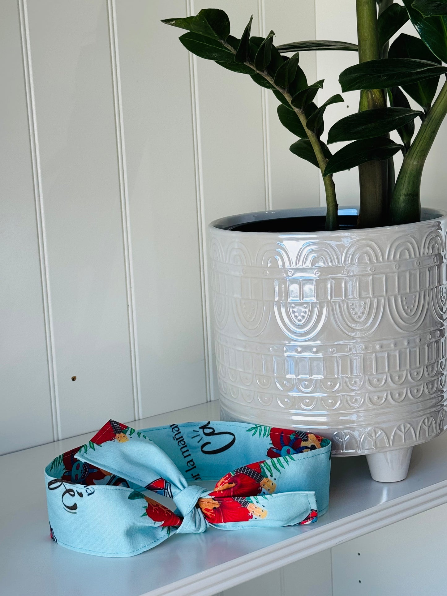 Bandana ajustable por la mañana café fondo azul